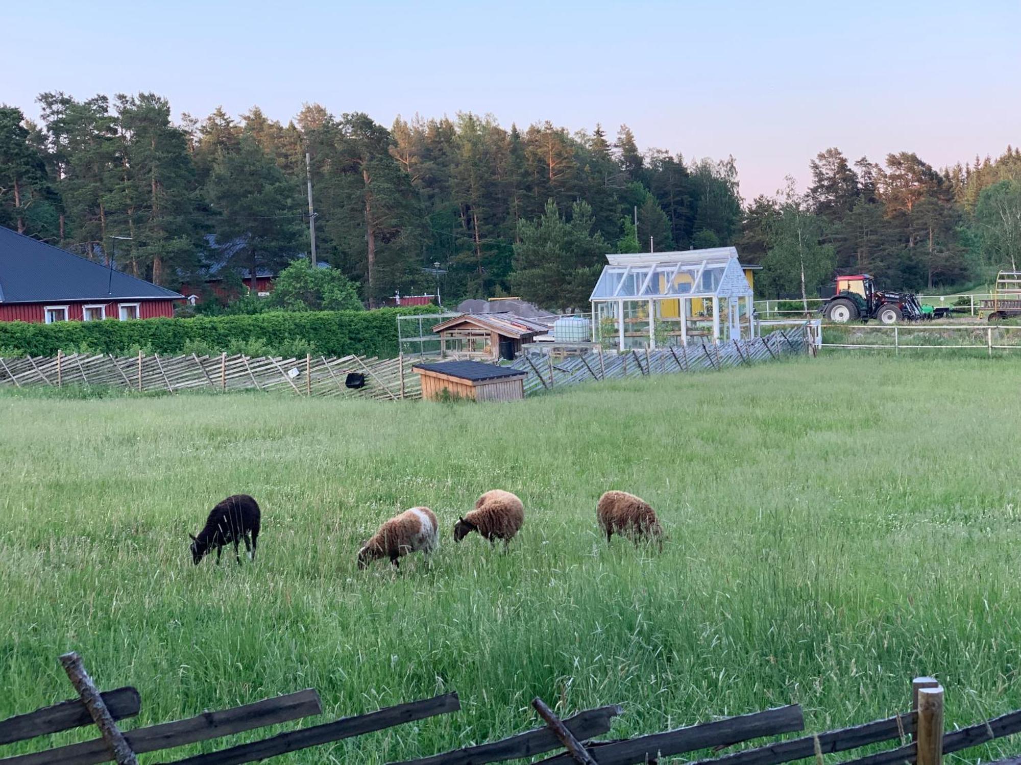 Lomahyppaeys Villa Naantali Kültér fotó
